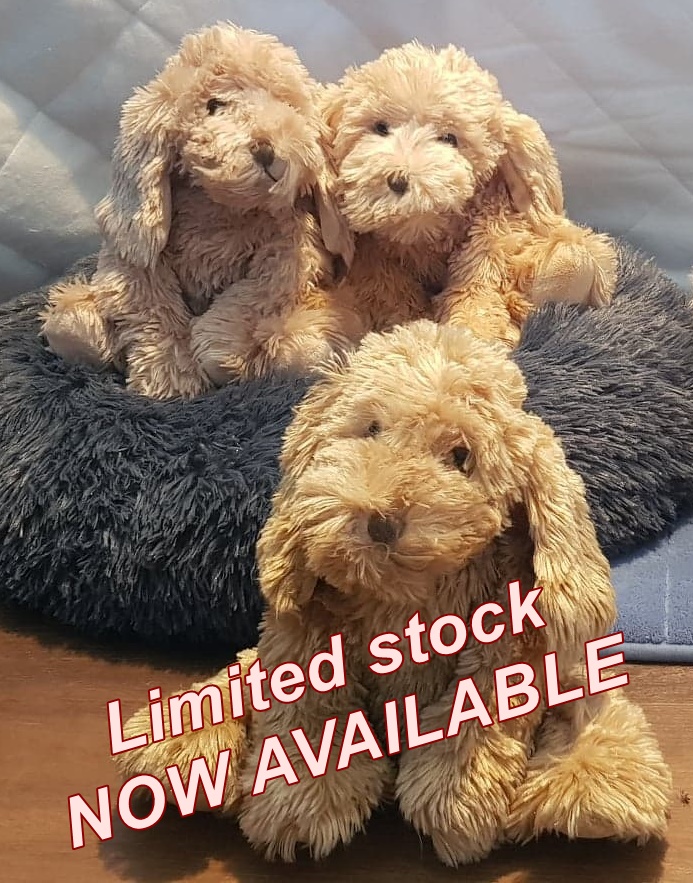 Cavoodle Soft Toy Puppy Colours Will Vary Waratah Puppies